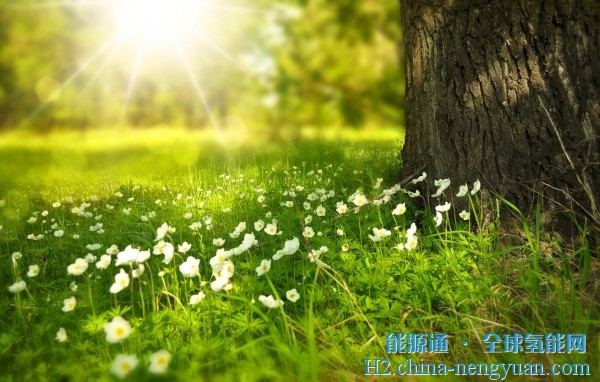 澳大利亚团队实现了17.6%的太阳能制氢效率