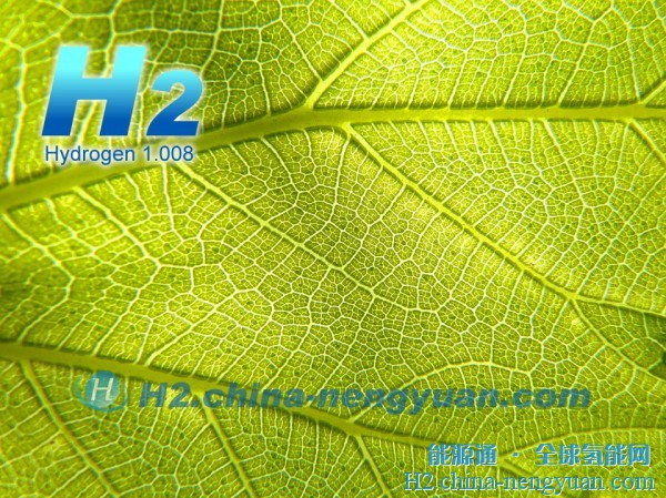 生物质制氢技术受到美国能源部支持