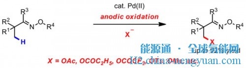上海有机所电化学氧化促进的碳氢键官能化反应研究获进展