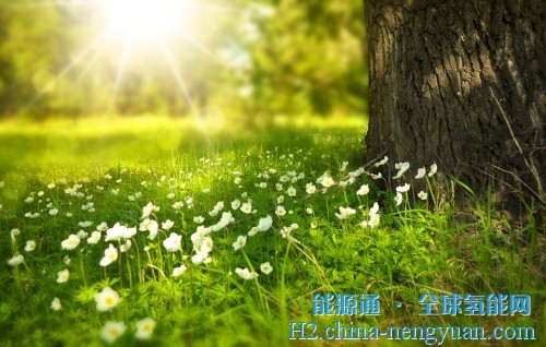新型太阳能制氢技术采用生物矿化工艺