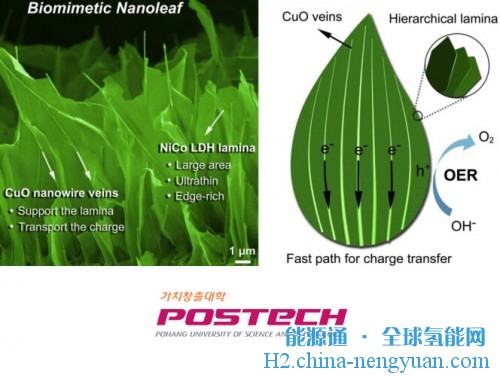 韩国：Nano-Leaf可以利用阳光制造氢能